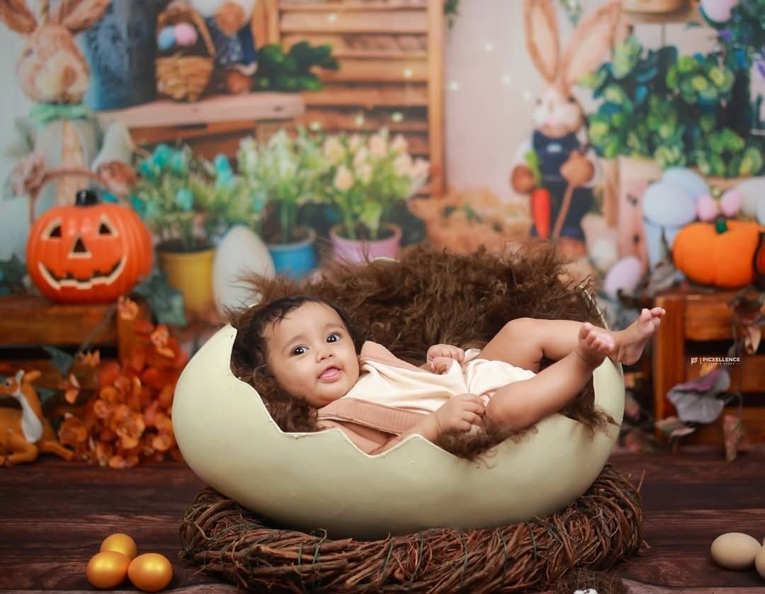 Picxellence Studio Theme 2