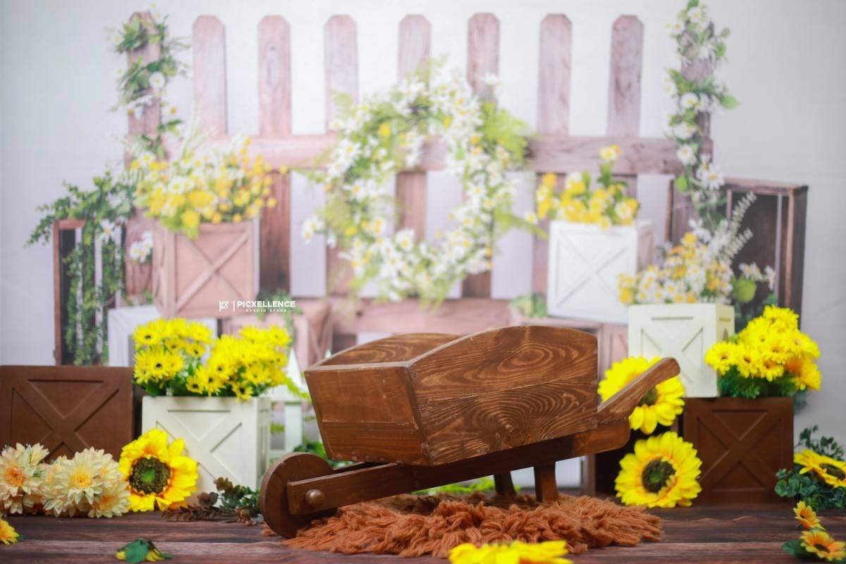 Birthday Smash Theme example photo 8